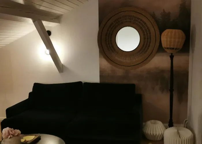 Chez Ariel Et Myrtille Апартаменты Bruyeres